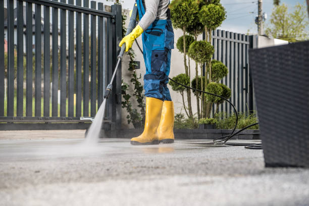 Animal Enclosure Cleaning in Sun City Center, FL